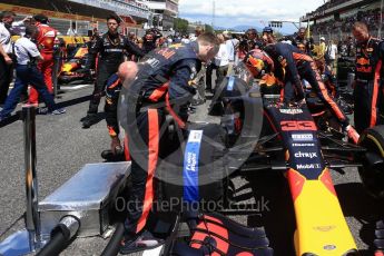 World © Octane Photographic Ltd. Formula 1 - Spanish Grand Prix Grid. Max Verstappen - Red Bull Racing RB13. Circuit de Barcelona - Catalunya, Spain. Sunday 14th May 2017. Digital Ref:1824LB2D8794