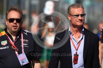 World © Octane Photographic Ltd. Formula 1 - Australian Grand Prix - Grid. David Coulthard. Albert Park Circuit. Sunday 26th March 2017. Digital Ref: 1801LB1D5782