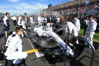 World © Octane Photographic Ltd. Formula 1 - Australian Grand Prix - Grid. Felipe Massa - Williams Martini Racing FW40. Albert Park Circuit. Sunday 26th March 2017. Digital Ref: 1801LB2D5560