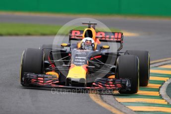 World © Octane Photographic Ltd. Formula 1 - Australian Grand Prix - Practice 2. Daniel Ricciardo - Red Bull Racing RB13. Albert Park Circuit. Friday 24th March 2017. Digital Ref: 1794LB1D2293