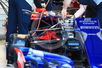 World © Octane Photographic Ltd. Formula 1 - Australian Grand Prix - Pit Lane. Scuderia Toro Rosso STR12. Albert Park Circuit. Friday 24th March 2017. Digital Ref: 1792LB1D0355