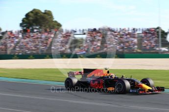 World © Octane Photographic Ltd. Formula 1 - Australian Grand Prix - Race. Max Verstappen - Red Bull Racing RB13. Albert Park Circuit. Sunday 26th March 2017. Digital Ref: 1802LB2D5730