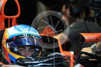 World © Octane Photographic Ltd. Formula 1 - Australian Grand Prix - Practice 3. Fernando Alonso - McLaren Honda MCL32. Albert Park Circuit. Saturday 25th March 2017. Digital Ref: 1797LB1D3585