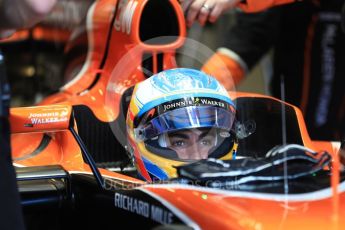 World © Octane Photographic Ltd. Formula 1 - Australian Grand Prix - Practice 3. Fernando Alonso - McLaren Honda MCL32. Albert Park Circuit. Saturday 25th March 2017. Digital Ref: 1797LB1D3592