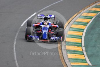 World © Octane Photographic Ltd. Formula 1 - Australian Grand Prix - Qualifying. Carlos Sainz - Scuderia Toro Rosso STR12. Albert Park Circuit. Saturday 25th March 2017. Digital Ref: 1798LB1D4030