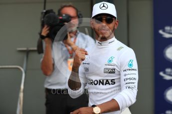 World © Octane Photographic Ltd. Formula 1 - Australian Grand Prix - Qualifying. Lewis Hamilton - Mercedes AMG Petronas F1 W08 EQ Energy+. Albert Park Circuit. Saturday 25th March 2017. Digital Ref: 1798LB1D4596