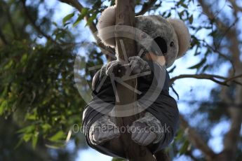 World © Octane Photographic Ltd. Formula 1 - Australian Grand Prix - Thursday - Koloa on the Melbourne Walk. Albert Park Circuit. Thursday 23rd March 2017. Digital Ref: 1789LB1D7872