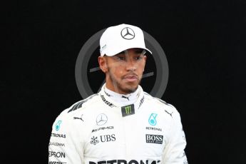 World © Octane Photographic Ltd. Formula 1 - Australian Grand Prix - FIA Driver Photo Call. Lewis Hamilton - Mercedes AMG Petronas F1 W08 EQ Energy+. Albert Park Circuit. Thursday 23rd March 2017. Digital Ref: 1790LB1D8089