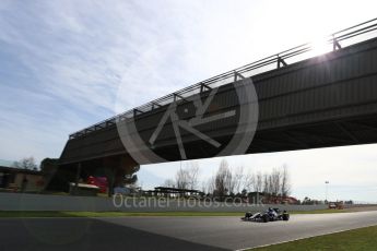 World © Octane Photographic Ltd. Formula 1 - Winter Test 2. Marcus Ericsson – Sauber F1 Team C36. Circuit de Barcelona-Catalunya. Wednesday 8th March 2017. Digital Ref: 1785LB1D4765