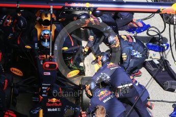 World © Octane Photographic Ltd. Formula 1 - Winter Test 2. Daniel Ricciardo - Red Bull Racing RB13. Circuit de Barcelona-Catalunya. Thursday 9th March 2017. Digital Ref:1786CB1D3345