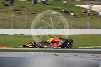 World © Octane Photographic Ltd. Formula 1 - Winter Test 2. Daniel Ricciardo - Red Bull Racing RB13. Circuit de Barcelona-Catalunya. Thursday 9th March 2017. Digital Ref:1786LB5D9950