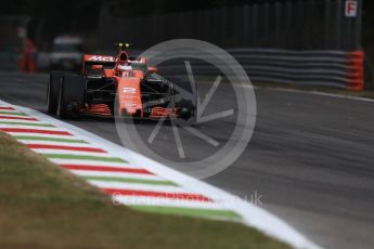 World © Octane Photographic Ltd. Formula 1 - Italian Grand Prix - Practice 1. Stoffel Vandoorne - McLaren Honda MCL32. Monza, Italy. Friday 1st September 2017. Digital Ref: 1938LB1D0985