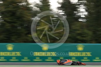 World © Octane Photographic Ltd. Formula 1 - Italian Grand Prix - Practice 1. Stoffel Vandoorne - McLaren Honda MCL32. Monza, Italy. Friday 1st September 2017. Digital Ref: 1938LB2D7992