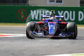 World © Octane Photographic Ltd. Formula 1 - Italian Grand Prix - Practice 2. Carlos Sainz - Scuderia Toro Rosso STR12. Monza, Italy. Friday 1st September 2017. Digital Ref: 1939LB1D2360