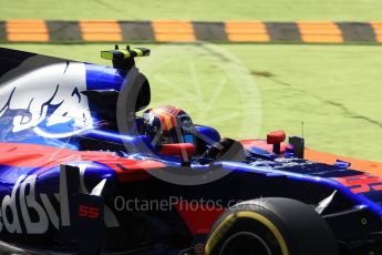 World © Octane Photographic Ltd. Formula 1 - Italian Grand Prix - Practice 2. Carlos Sainz - Scuderia Toro Rosso STR12. Monza, Italy. Friday 1st September 2017. Digital Ref: 1939LB1D2387