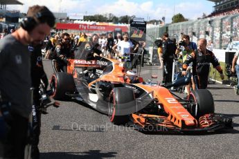 World © Octane Photographic Ltd. Formula 1 - Japanese Grand Prix - Sunday - Grid. Stoffel Vandoorne - McLaren Honda MCL32. Suzuka Circuit, Suzuka, Japan. Sunday 8th October 2017. Digital Ref:1979LB1D0240