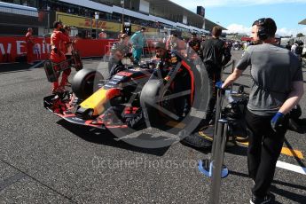 World © Octane Photographic Ltd. Formula 1 - Japanese Grand Prix - Sunday - Grid. Max Verstappen - Red Bull Racing RB13. Suzuka Circuit, Suzuka, Japan. Sunday 8th October 2017. Digital Ref:1979LB2D5346