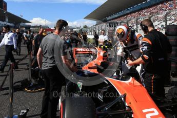 World © Octane Photographic Ltd. Formula 1 - Japanese Grand Prix - Sunday - Grid. Stoffel Vandoorne - McLaren Honda MCL32. Suzuka Circuit, Suzuka, Japan. Sunday 8th October 2017. Digital Ref: 1979LB2D5376