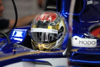 World © Octane Photographic Ltd. Formula 1 - Japanese Grand Prix - Saturday - Practice 3. Pascal Wehrlein – Sauber F1 Team C36. Suzuka Circuit, Suzuka, Japan. Saturday 7th October 2017. Digital Ref:1976LB1D9095