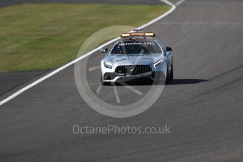 World © Octane Photographic Ltd. Formula 1 - Japanese Grand Prix - Sunday - Race. The Safety Car is deployed after Carlos Sainz crashes his Toro Rosso. Suzuka Circuit, Suzuka, Japan. Sunday 8th October 2017. Digital Ref:1980LB1D0560