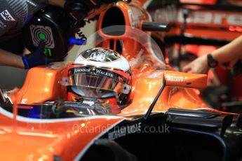 World © Octane Photographic Ltd. Formula 1 - Singapore Grand Prix - Practice 3. Stoffel Vandoorne - McLaren Honda MCL32. Marina Bay Street Circuit, Singapore. Saturday 16th September 2017. Digital Ref:1962LB1D1556