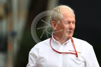 World © Octane Photographic Ltd. Formula 1 - Singapore Grand Prix - Paddock. Helmut Marko - advisor to the Red Bull GmbH Formula One Teams and head of Red Bull's driver development program. Marina Bay Street Circuit, Singapore. Saturday 16th September 2017. Digital Ref:1961LB1D0980