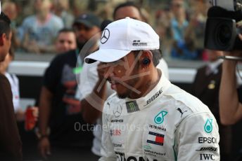 World © Octane Photographic Ltd. Formula 1 – Abu Dhabi GP - Drivers Parade. Mercedes AMG Petronas Motorsport AMG F1 W09 EQ Power+ - Lewis Hamilton. Yas Marina Circuit, Abu Dhabi. Sunday 25th November 2018.