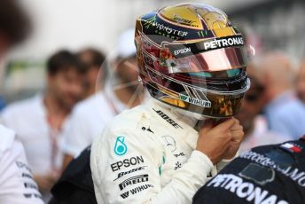 World © Octane Photographic Ltd. Formula 1 – Abu Dhabi GP - Grid. Mercedes AMG Petronas Motorsport AMG F1 W09 EQ Power+ - Lewis Hamilton. Yas Marina Circuit, Abu Dhabi. Sunday 25th November 2018.