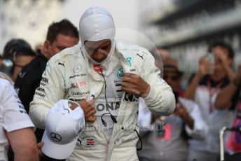 World © Octane Photographic Ltd. Formula 1 –  Abu Dhabi GP - Grid. Mercedes AMG Petronas Motorsport AMG F1 W09 EQ Power+ - Lewis Hamilton. Yas Marina Circuit, Abu Dhabi. Sunday 25th November 2018.