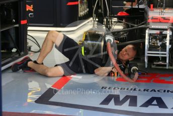 World © Octane Photographic Ltd. Formula 1 –  Abu Dhabi GP - Practice 1. Aston Martin Red Bull Racing TAG Heuer RB14 – Max Verstappen. Yas Marina Circuit, Abu Dhabi. Friday 23rd November 2018.