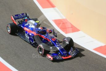 World © Octane Photographic Ltd. Formula 1 –  Abu Dhabi GP - Practice 1. Scuderia Toro Rosso STR13 – Pierre Gasly. Yas Marina Circuit, Abu Dhabi. Friday 23rd November 2018.