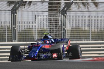 World © Octane Photographic Ltd. Formula 1 –  Abu Dhabi GP - Practice 1. Scuderia Toro Rosso STR13 – Pierre Gasly. Yas Marina Circuit, Abu Dhabi. Friday 23rd November 2018.