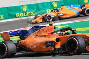 World © Octane Photographic Ltd. Formula 1 –  Abu Dhabi GP - Practice 3. McLaren MCL33 – Stoffel Vandoorne and Fernando Alonso. Yas Marina Circuit, Abu Dhabi. Saturday 24th November 2018.