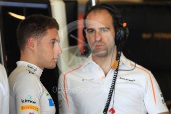 World © Octane Photographic Ltd. Formula 1 –  Abu Dhabi GP - Practice 3. McLaren MCL33 – Stoffel Vandoorne. Yas Marina Circuit, Abu Dhabi. Saturday 24th November 2018.