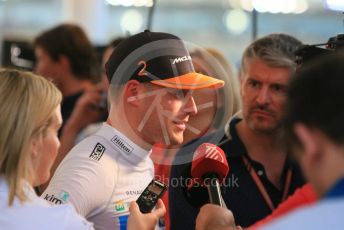 World © Octane Photographic Ltd. Formula 1 –  Abu Dhabi GP - Qualifying. McLaren MCL33 – Stoffel Vandoorne. Yas Marina Circuit, Abu Dhabi. Saturday 24th November 2018.