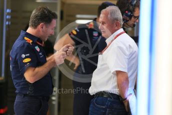 World © Octane Photographic Ltd. Formula 1 - Abu Dhabi GP - Qualifying.Helmut Marko - advisor to the Red Bull GmbH Formula One Teams and head of Red Bull's driver development program and Christian Horner - Team Principal of Red Bull Racing. Yas Marina Circuit, Abu Dhabi. Saturday 24th November 2018.