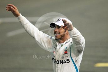 World © Octane Photographic Ltd. Formula 1 –  Abu Dhabi GP - Post-race celebration. Mercedes AMG Petronas Motorsport AMG F1 W09 EQ Power+ - Lewis Hamilton. Yas Marina Circuit, Abu Dhabi. Sunday 25th November 2018.