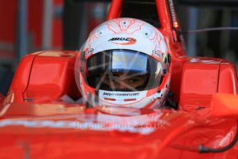 World © Octane Photographic Ltd. GP3 – Abu Dhabi GP – Practice. Arden International - Joey Mawson. Yas Marina Circuit, Abu Dhabi. Friday 23rd November 2018.