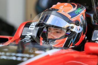 World © Octane Photographic Ltd. GP3 – Abu Dhabi GP – Race 1. ART Grand Prix - Nikita Mazepin. Yas Marina Circuit, Abu Dhabi. Saturday 24th November 2018.