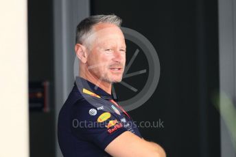 World © Octane Photographic Ltd. Formula 1 - Abu Dhabi GP - Paddock. Paul Monaghan - Chief Engineer of Red Bull Racing. Yas Marina Circuit, Abu Dhabi. Thursday 22nd November 2018.