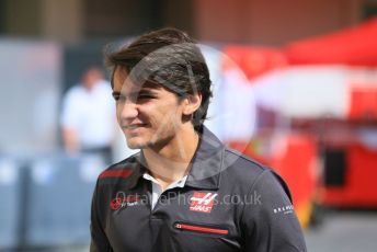 World © Octane Photographic Ltd. Formula 1 –  Abu Dhabi GP - Paddock. Haas F1 Team 2019 test driver– Pietro Fittipaldi. Yas Marina Circuit, Abu Dhabi. Thursday 22nd November 2018.