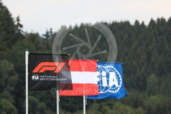 World © Octane Photographic Ltd. Formula 1 – Austrian GP - Qualifying. Formula 1 flag. Red Bull Ring, Spielberg, Austria. Saturday 30th June 2018.