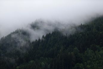 World © Octane Photographic Ltd. Formula 1 – Austrian GP - Paddock. Rain clouds in the trees. Red Bull Ring, Spielberg, Austria. Thursday 28th June 2018.