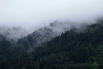 World © Octane Photographic Ltd. Formula 1 – Austrian GP - Paddock. Rain clouds in the trees. Red Bull Ring, Spielberg, Austria. Thursday 28th June 2018.