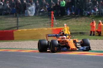 World © Octane Photographic Ltd. Formula 1 – Belgian GP - Practice 1. McLaren MCL33 – Stoffel Vandoorne. Spa-Francorchamps, Belgium. Friday 24th August 2018.