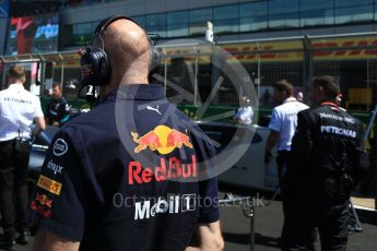 World © Octane Photographic Ltd. Formula 1 - British GP - Grid. Adrian Newey - Chief Technical Officer of Red Bull Racing. Silverstone Circuit, Towcester, UK. Sunday 8th July 2018.