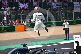 World © Sean Ramsell / Octane Photographic Ltd. Formula 1 – British GP - Qualifying. Mercedes AMG Petronas Motorsport AMG F1 W09 EQ Power+ - Lewis Hamilton. Silverstone Circuit, Towcester, UK. Saturday 7th July 2018.