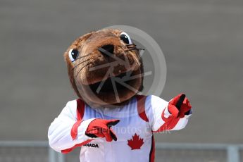 World © Octane Photographic Ltd. Formula 1 – Canadian GP - Practice 2. Atmosphere - Groundhog. Circuit Gilles Villeneuve, Montreal, Canada. Friday 8th June 2018.