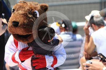 World © Octane Photographic Ltd. Formula 1 – Canadian GP - Practice 2. Atmosphere - Groundhog. Circuit Gilles Villeneuve, Montreal, Canada. Friday 8th June 2018.