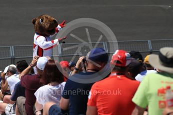 World © Octane Photographic Ltd. Formula 1 – Canadian GP - Practice 2. Atmosphere - Groundhog. Circuit Gilles Villeneuve, Montreal, Canada. Friday 8th June 2018.